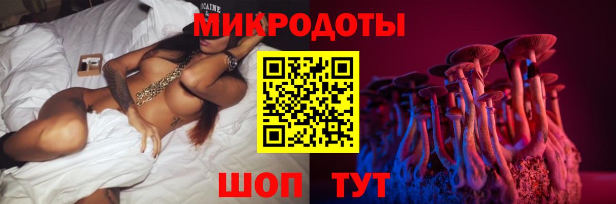 Псилоцибиновые грибы GOLDEN TEACHER Приморско-Ахтарск